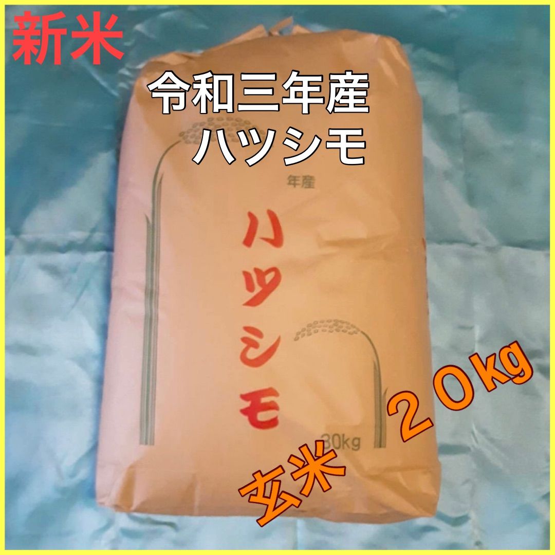 令和三年新米玄米 20kg 岐阜県産 ハツシモ 一から手作りのお米