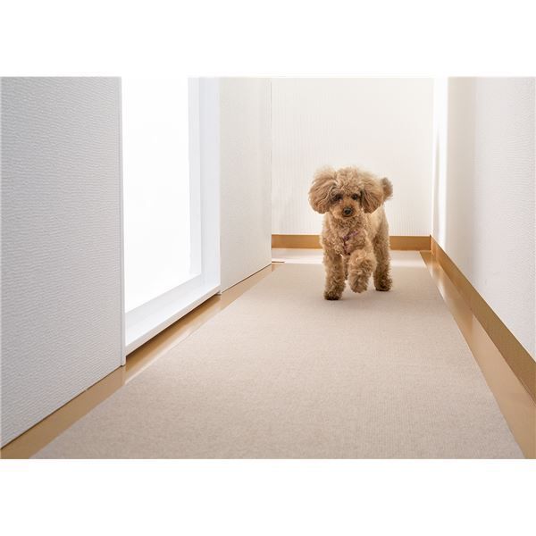 ペット用品 ×16セット