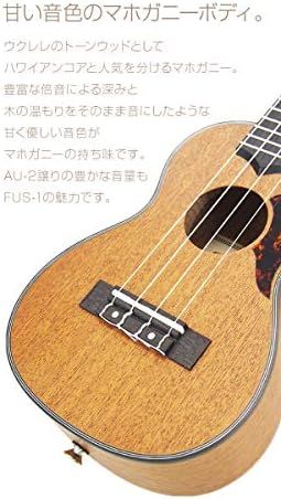 9点セット弦高調整済 甘い音色