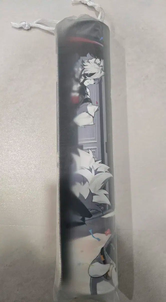 ほうようランド 2025 ゼンレス ゾーン XERO ゼロ ロングパッド