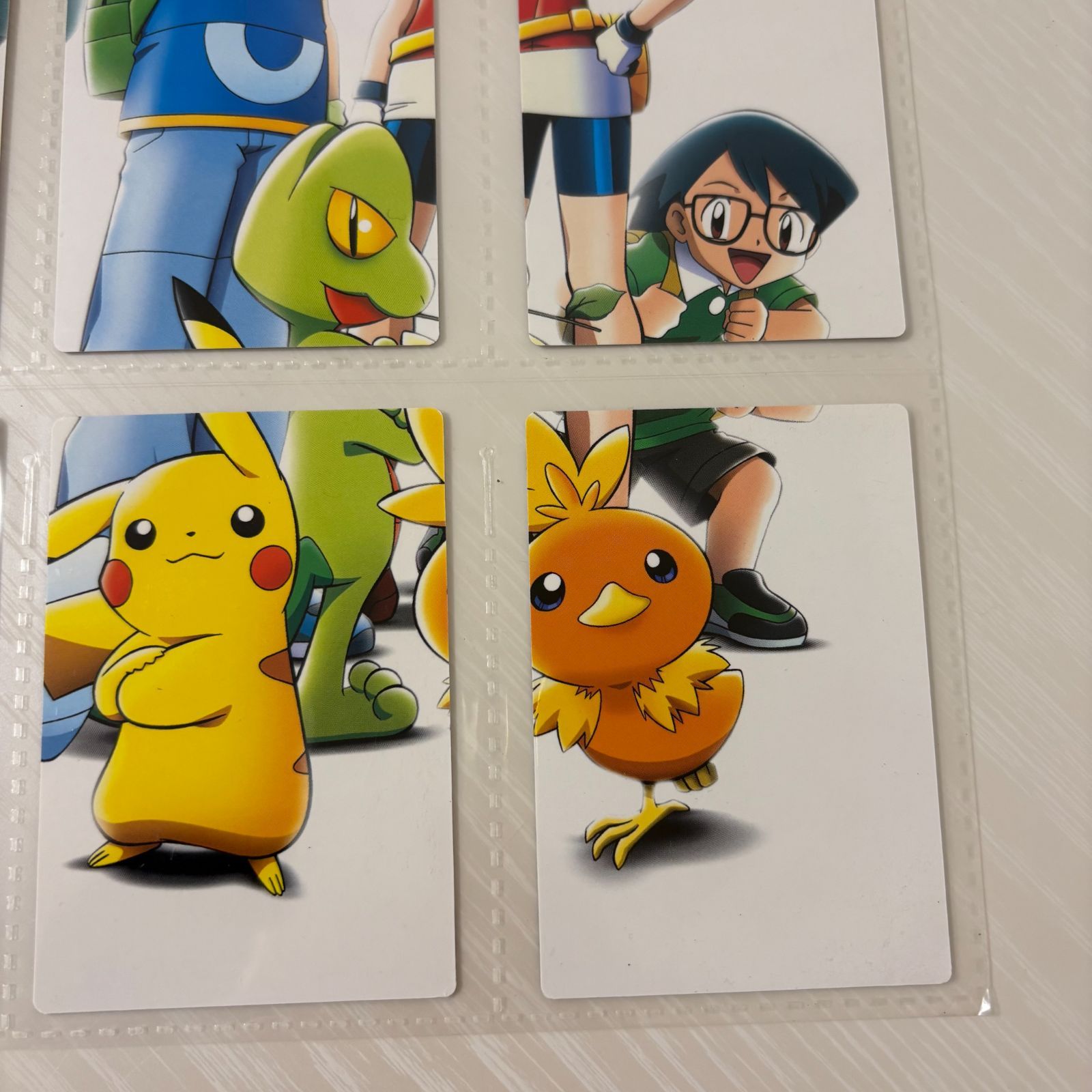 ポケモンカードダス ポケモンずかんカード コンプリートセット