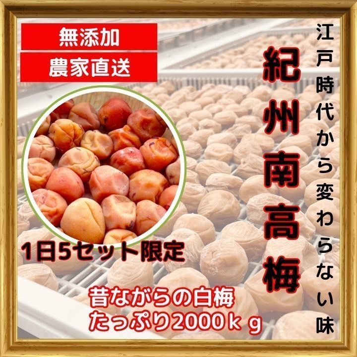 人気爆発！紀州南高梅 樽 ショップ 2kg つぶれ梅 無添加 和歌山 紀州 白梅