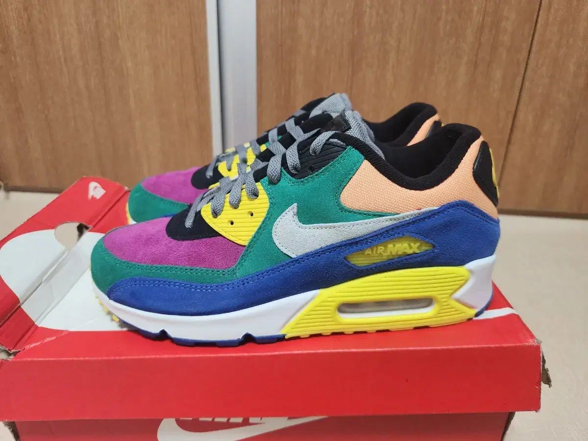 270 NIKE(ナイキ) マックス 90 viotech