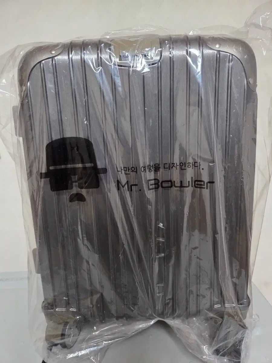 ♥品 ミスターボウラー 機内持ち込み用キャリアー 20インチ