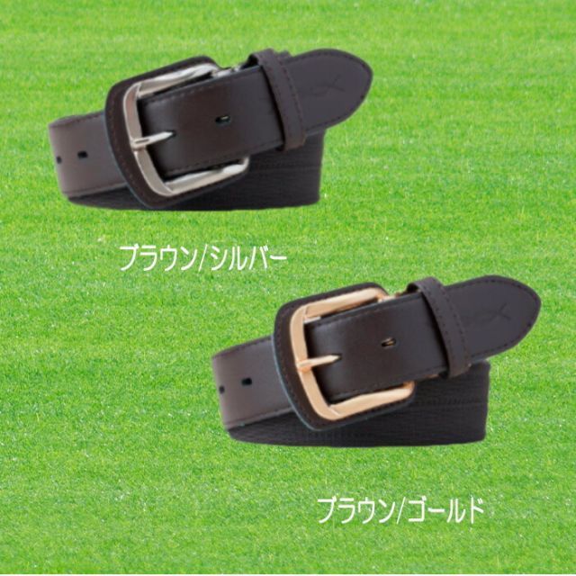 種類15 ゴールド|ライトブルー