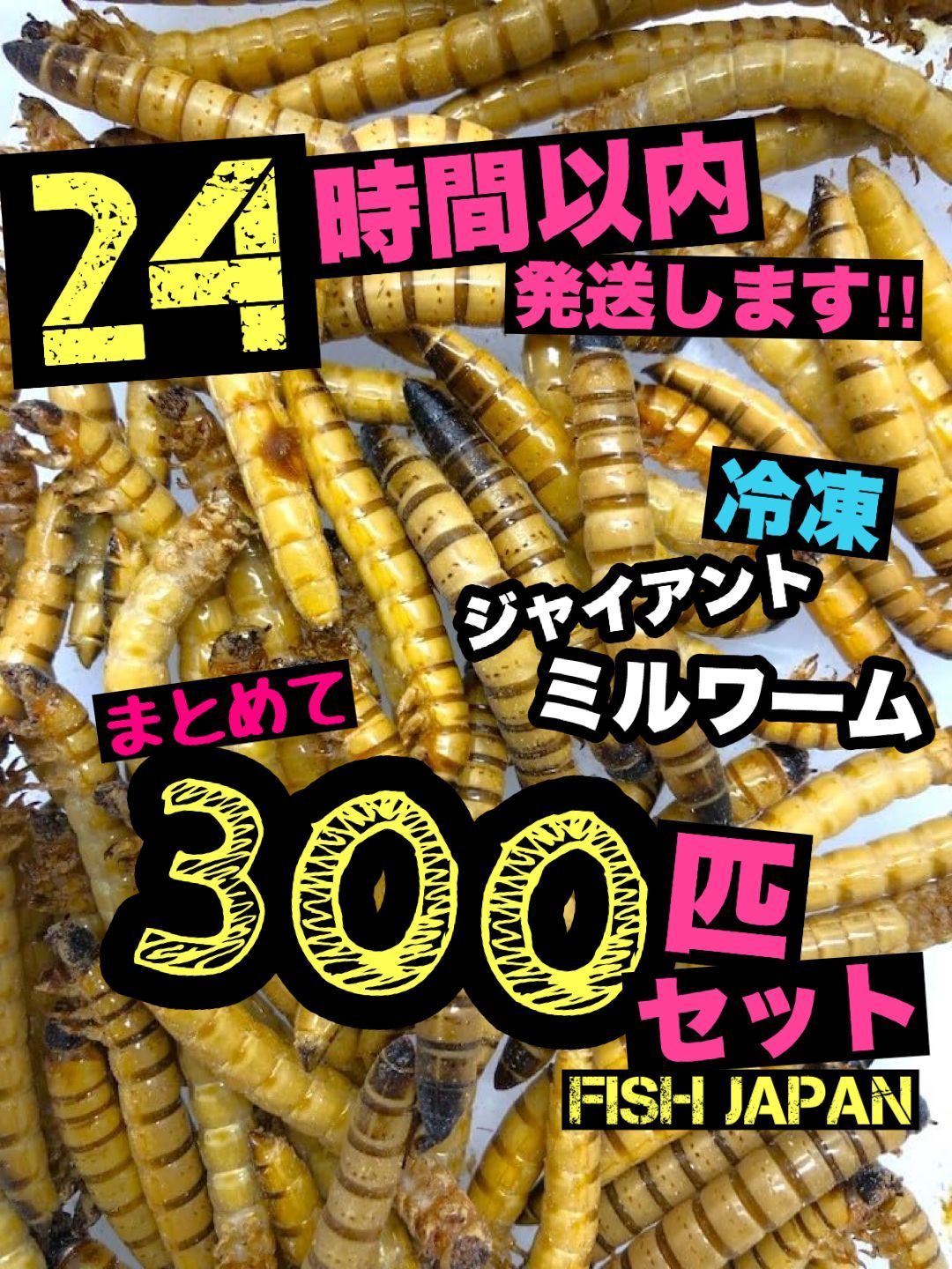 冷凍爬虫類・両生類の餌 まとめて 冷凍餌】 冷凍デュビア Mixサイズ 約100匹入り 爬虫類 両生類