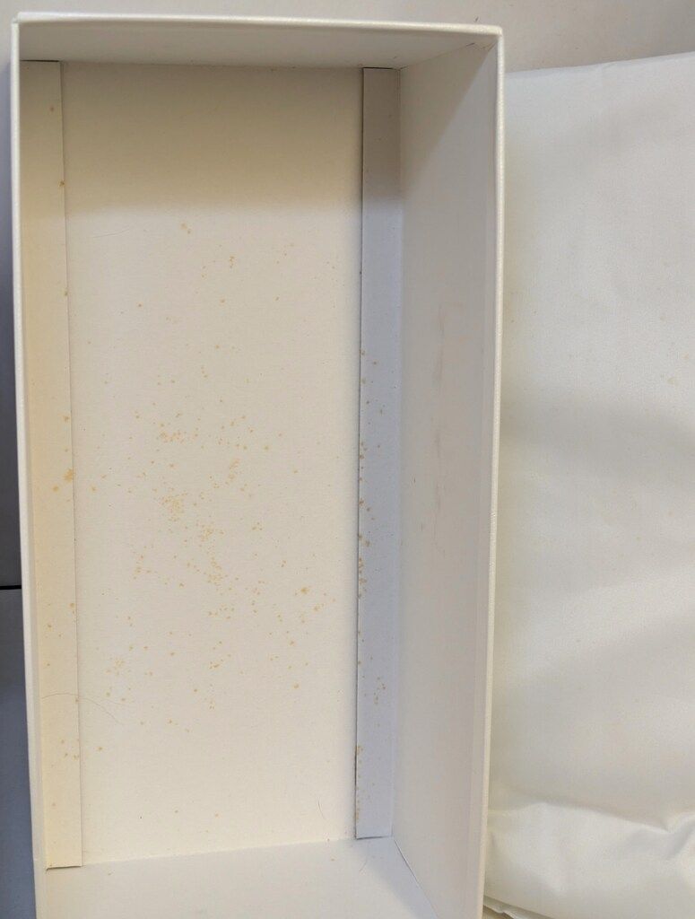 幼SD女の子 めぐとこまめ