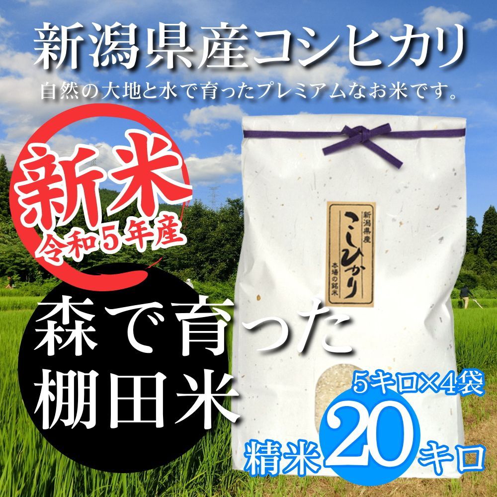 新潟米コシヒカリ 白米 20kg（5kg×4袋）雲龍和紙 新潟産こしひかり