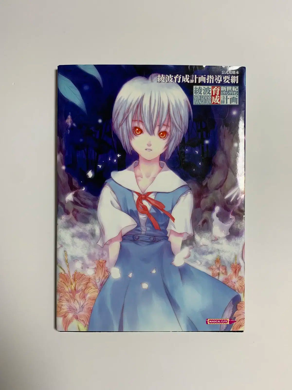 100%新品，新作 エヴァンゲリオン あやなみ トレーニングプラン 画集 (絵画コレクション) ストラテジーブック (覚醒の手紙) アート・デザイン・音楽