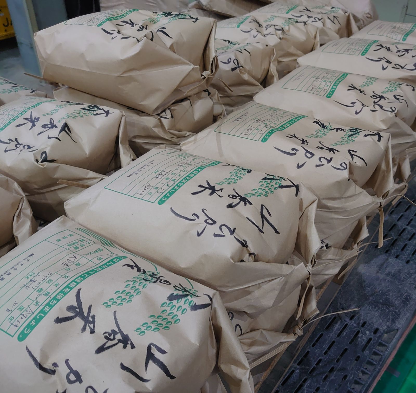 新米】大分県産 ひのひかり 5kg 色彩選別済 1等米 - メルカリ