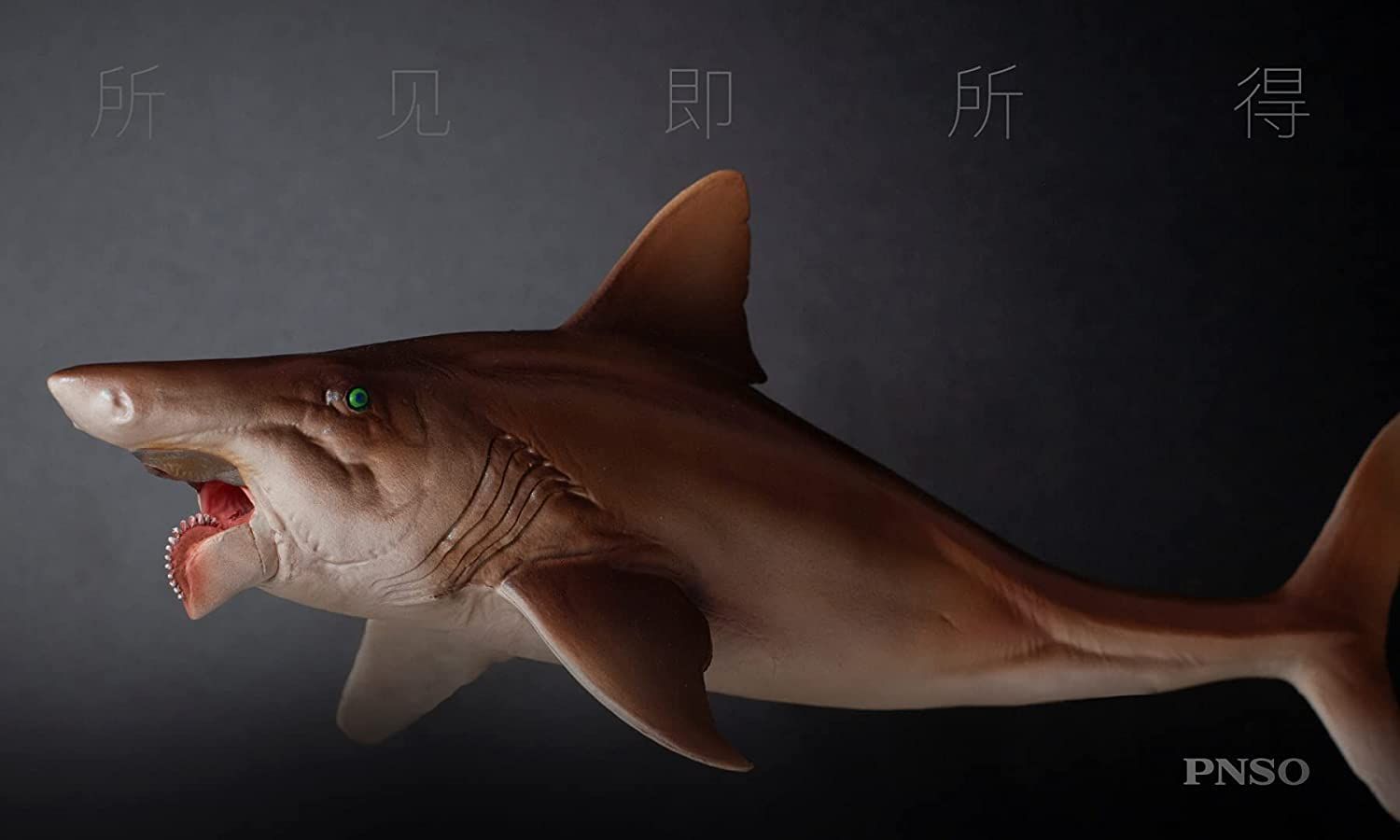 PNSO 成長シリーズ 43 ヘリコプリオン 魚類 動物 フィギュア
