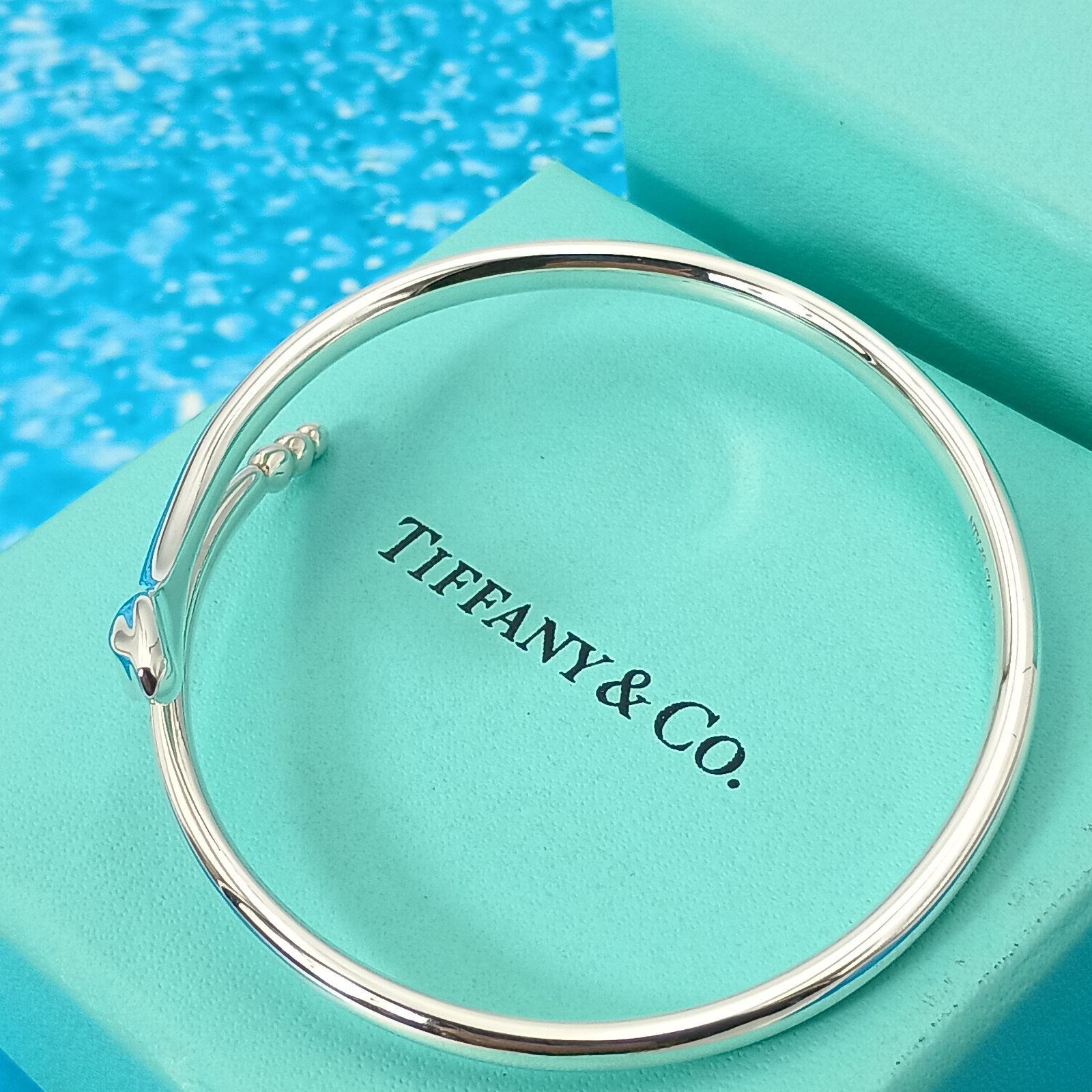 TIFFANY&Co ティファニー バングル スネーク レディース シルバー925
