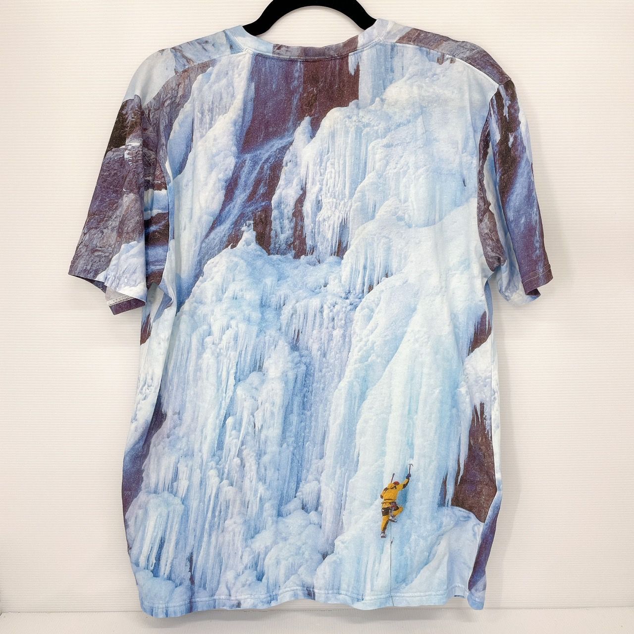 Supreme The North Face Ice Climb Tee Tシャツ Mサイズ - メルカリ