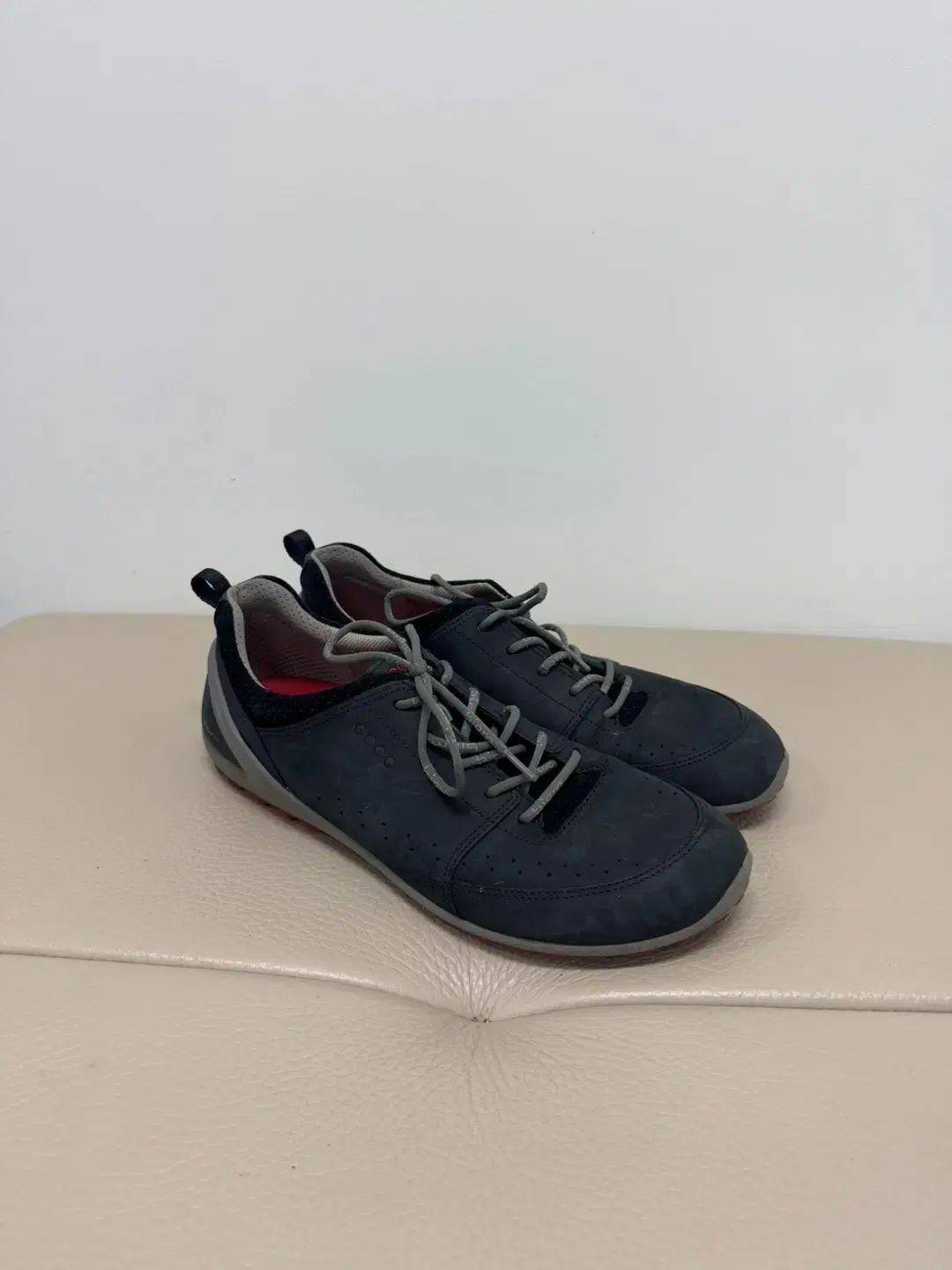 Ecco エコー