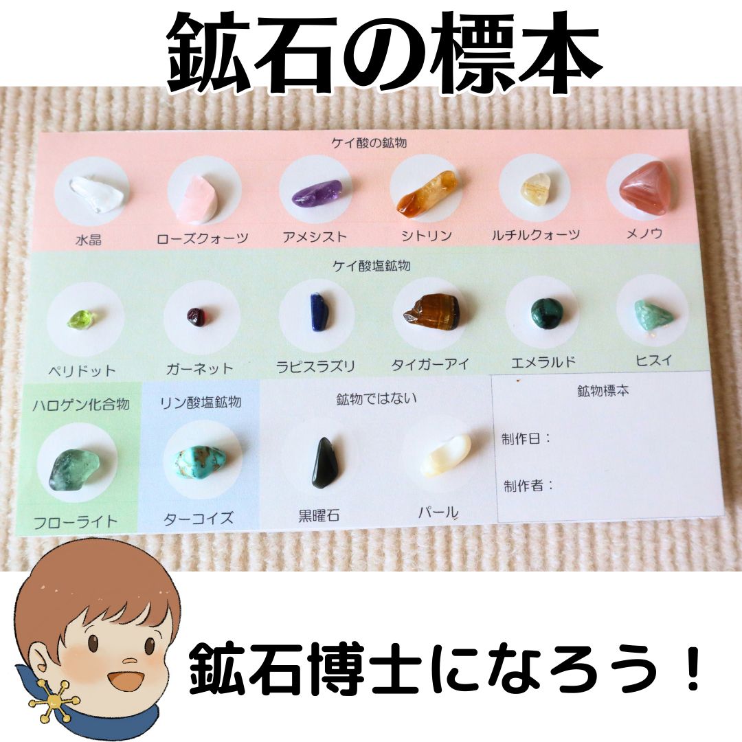夏休み自由研究 鉱石の標本を作って鉱石博士になろう！工作 親子で