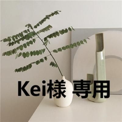 けい様専用 けいさま専用 kikiさま 専用 kokiaさま】専用！！ ZX