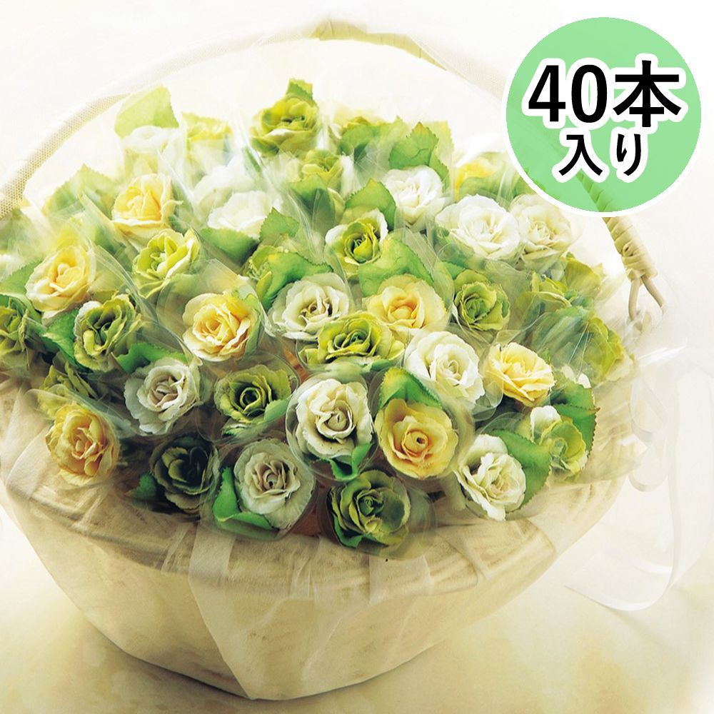 ピアス ハーバリウム かすみ草 水色 ピンク 星の砂 海 ビジュー 夏