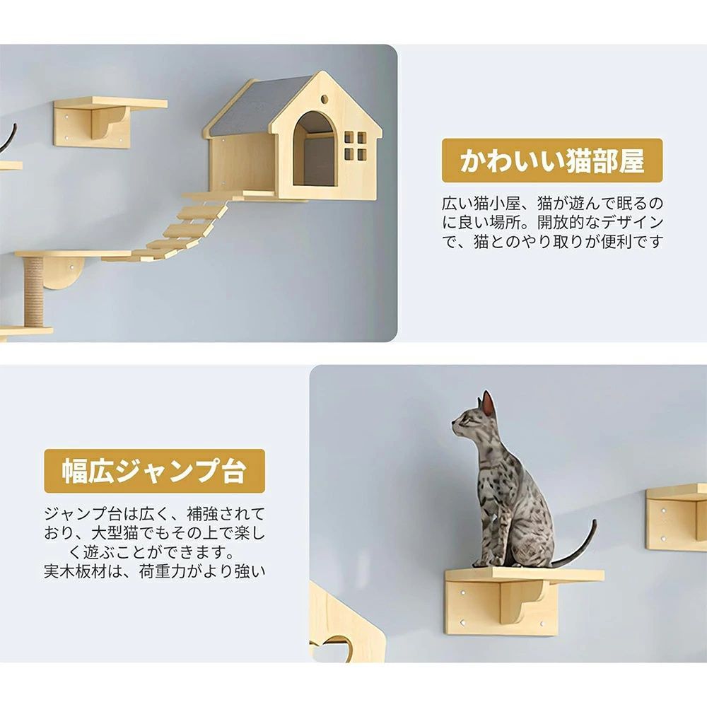 キャットウォーク