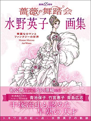 画業65周年 水野英子画集 薔薇の舞踏会 水野英子