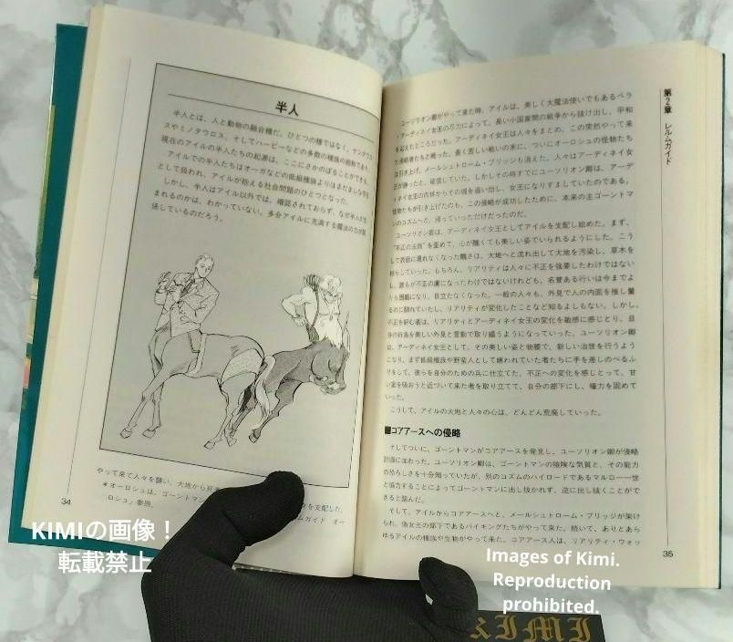 希少 初版 トーグガイドブック 単行本 1994 細江 ひろみ 山北篤 新紀元 