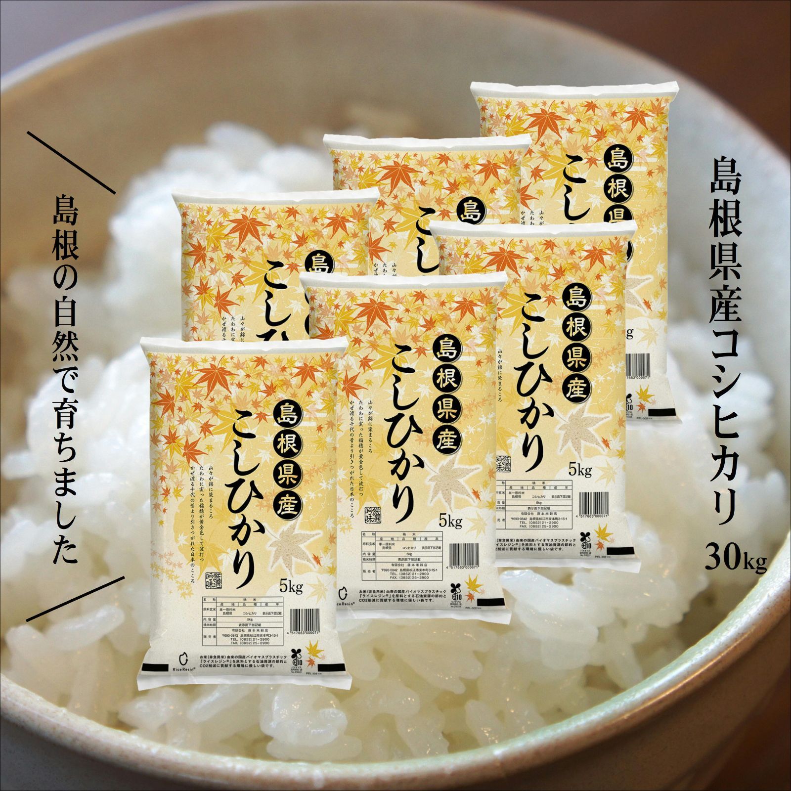 島根県産コシヒカリ30kg（5kg×6）　5年産　メルカリ　お米の広場ふじもと　メルカリShops店