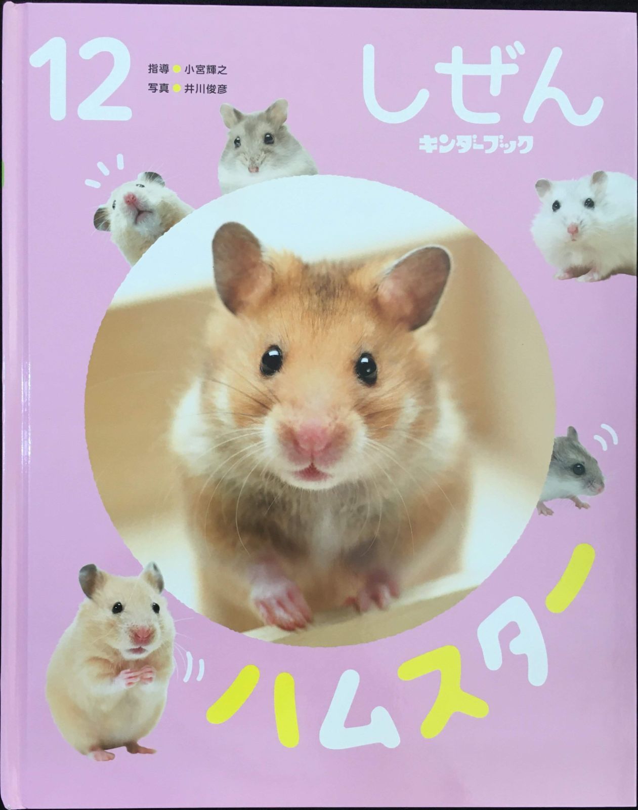 しぜん 絵本シリーズ 全12巻セット フレーベル館 キンダーブック