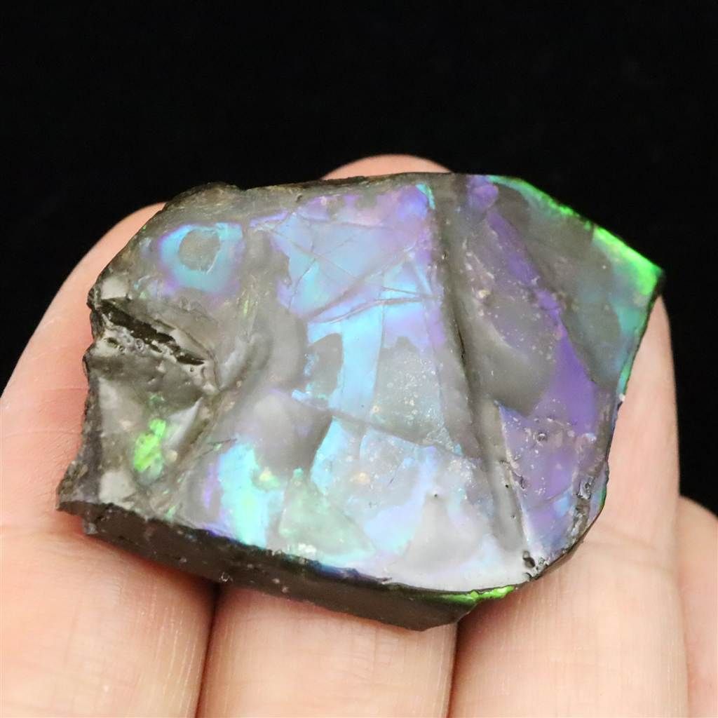 アンモライト□カナダ産 コーライト社 原石片□ ♢9♢ カナディアン