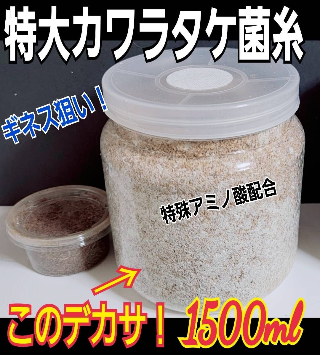 特大サイズ！極上☆カワラタケ菌糸瓶【2本】特殊アミノ酸強化配合