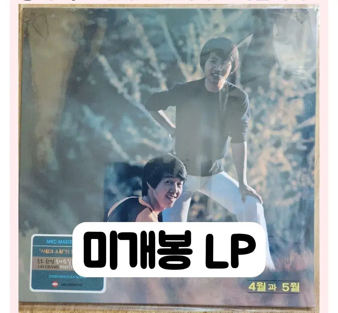 CACTUS HAND BOOK 佐藤 勉著