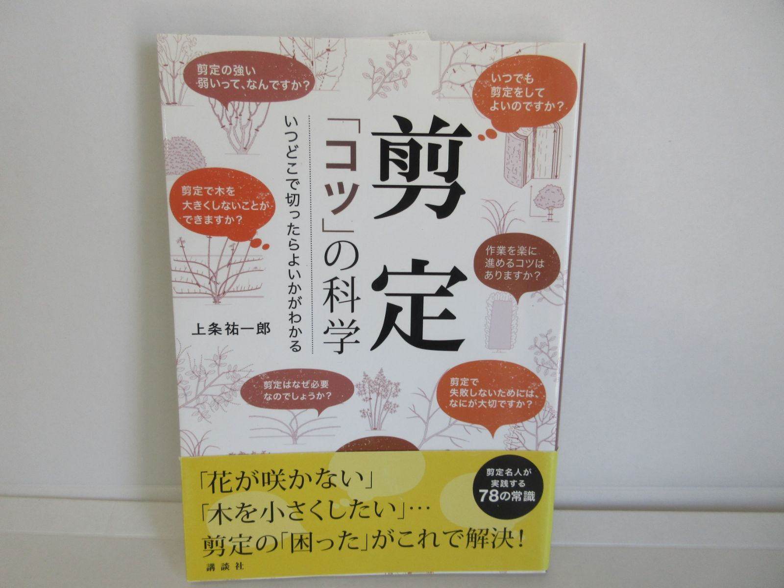 剪定 「コツ」の科学 いつどこで切ったらよいかがわかる 剪定 「コツ」の科学 いつどこで切ったらよいかがわかる 祐一郎 127-c 名人庭師のCODIT 剪定 「コツ」の科学 いつどこで切ったらよいかがわかる 剪定 「コツ」の科学 いつどこで切ったらよいかがわかる 祐一郎 127-c 名人庭師のCODIT