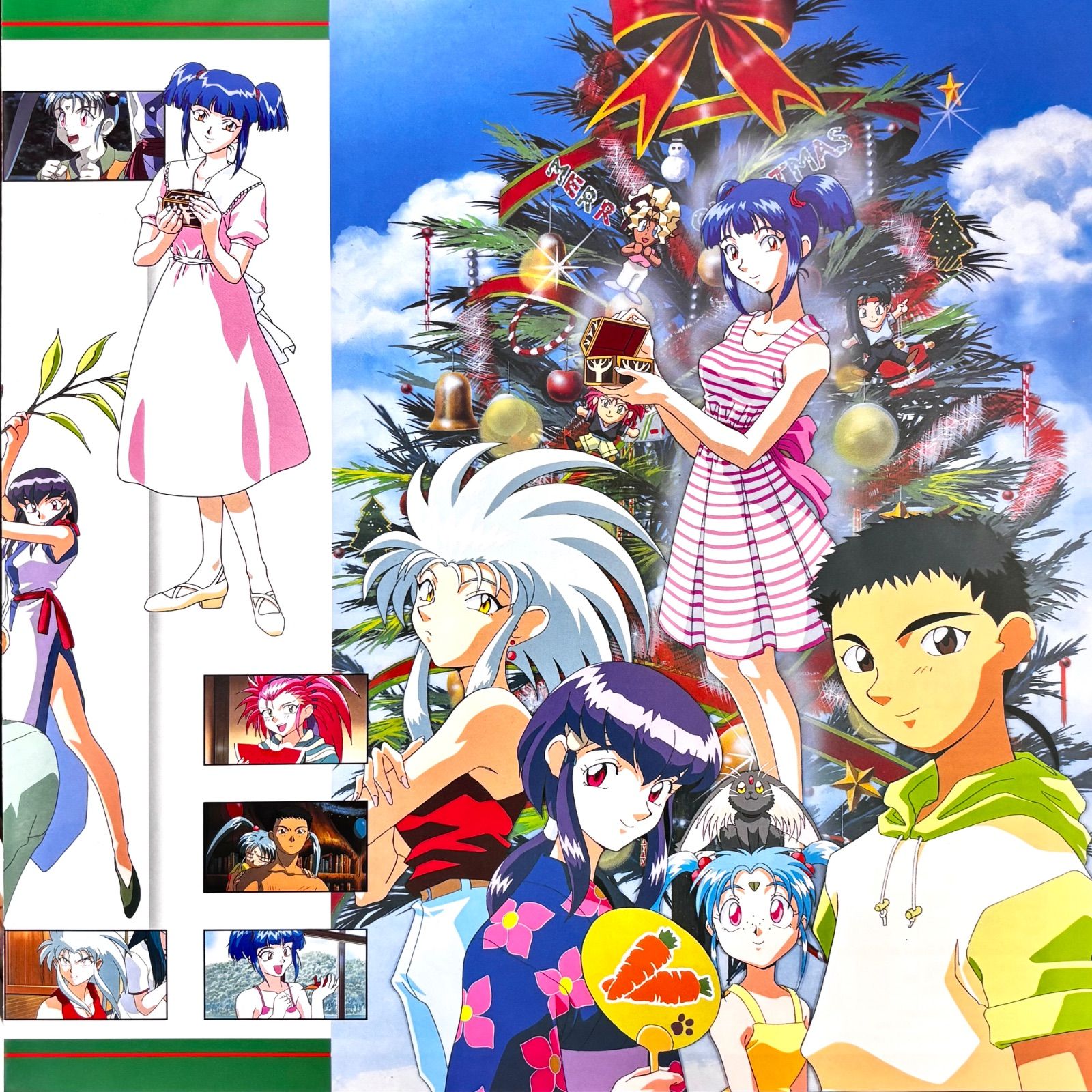 レア希少品⭐️レーザーディスク】 ☆アニメシリーズ 『天地無用 