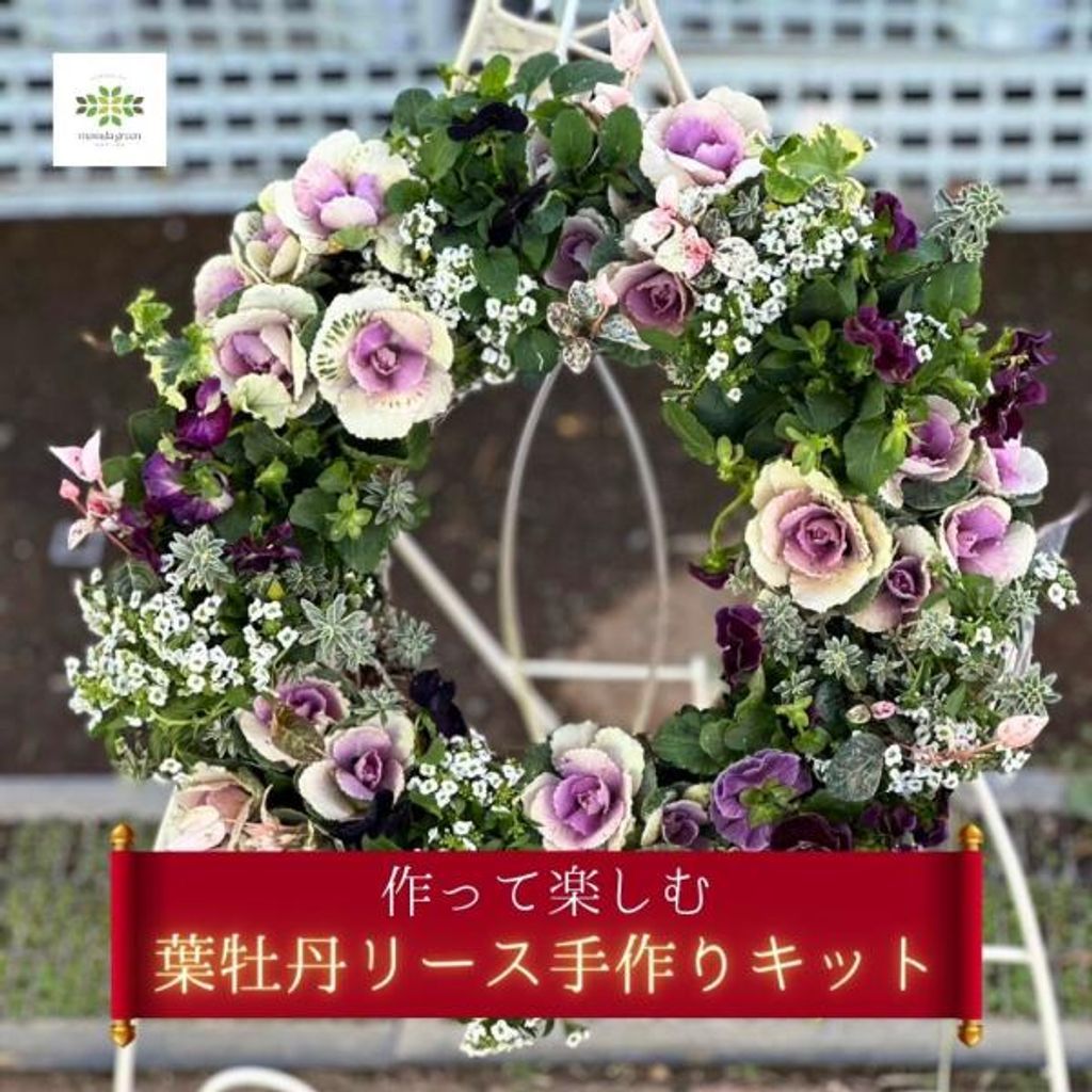 オーレアミモザの蕾とイエローのハーフリース 春待ち マリーゴールド