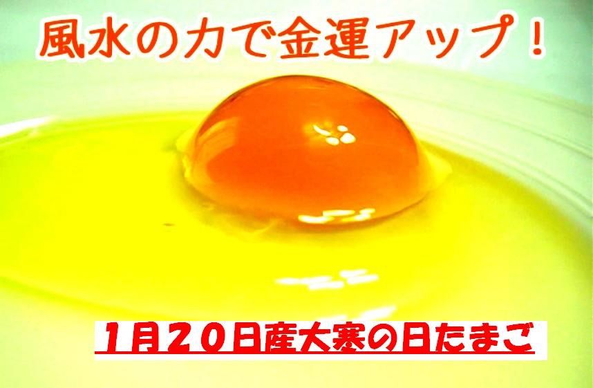 ブランド激安セール会場 160個 卵かけご飯 初たまご 生２週間 北海道