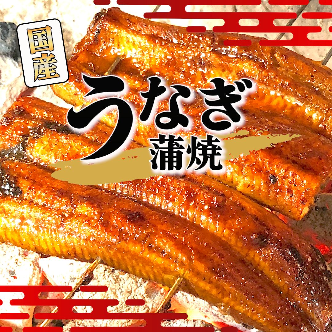 国産 鹿児島産うなぎ蒲焼き1kg