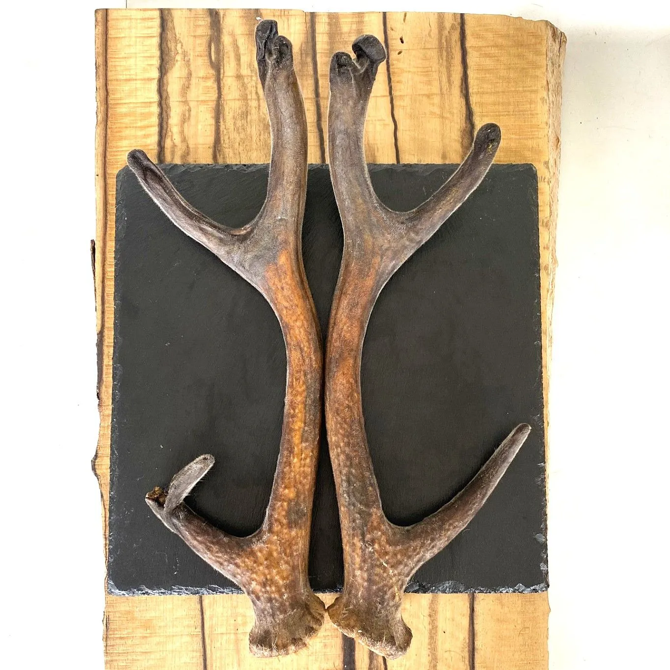 蝦夷鹿 袋角 鹿茸 710g 蝦夷鹿 袋角 鹿茸 710g 蝦夷鹿 袋角 鹿茸 710g