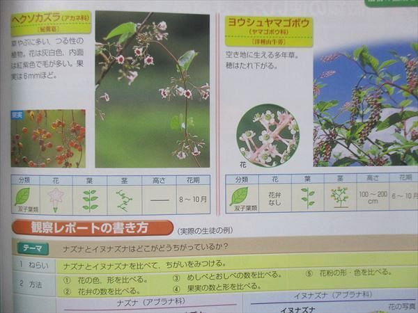 UP13-034 馬渕教室 理科 資料集 09m2B - メルカリ