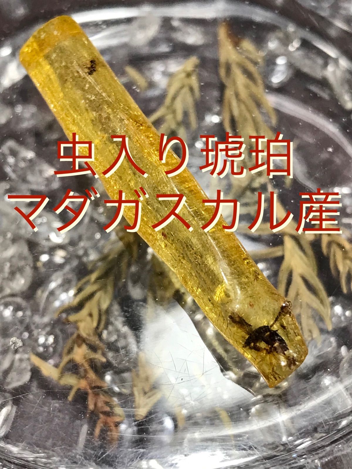 マダガスカル産【虫入り琥珀/アンバー】新生代第四紀コパル/化石[22-13 