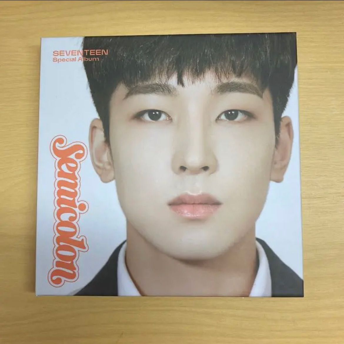 seventeen セミコロン　semicolon アルバム　ブックレット SEVENTEEN semicolon セミコロン ウォヌ ブックレットのみ