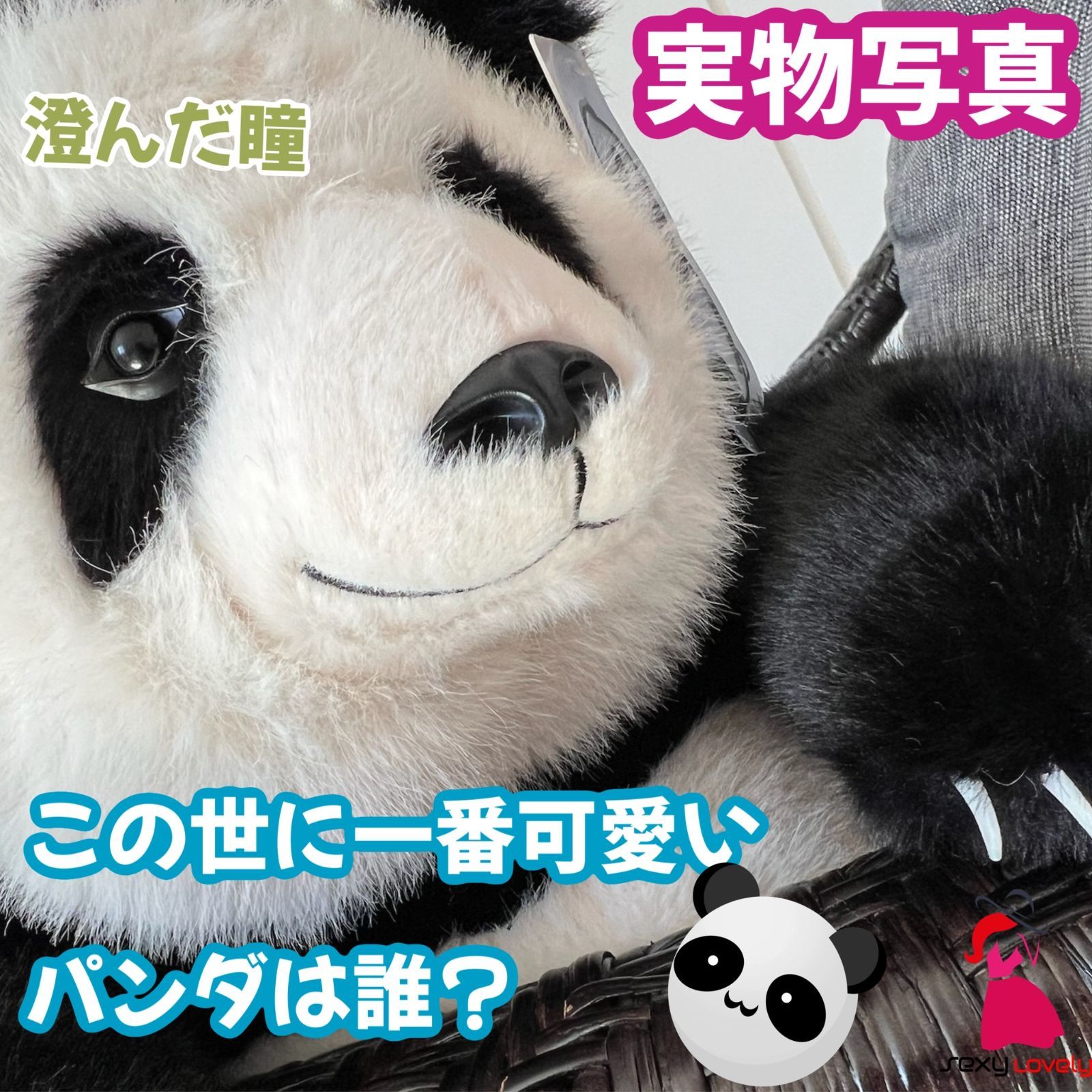 パンダぬいぐるみ メンラン 座り姿 プレゼント最適 - メルカリ