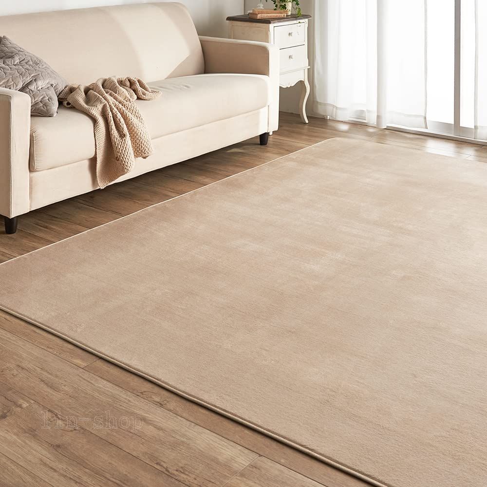 【特価商品】カーペット ラグ 洗える ラグカーペット マット 200×300cm 滑り止め付き ホットカーペット対応 3畳 アイリスプラザ 防ダニ フランネル さらフワ触感 おしゃれ 北欧 じゅうたん