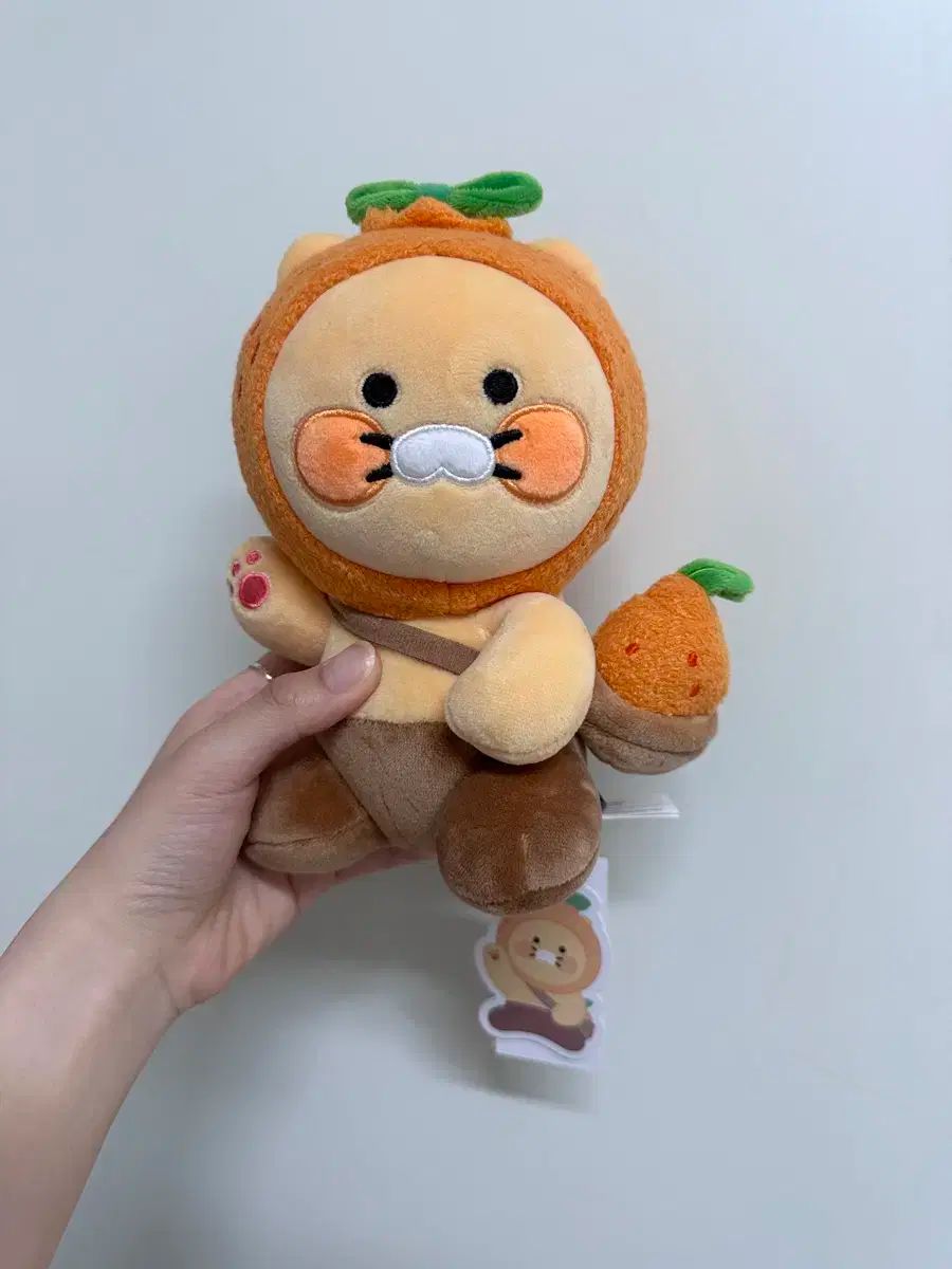 限定SALE，爆買い 済州 みかん チュンシク その他