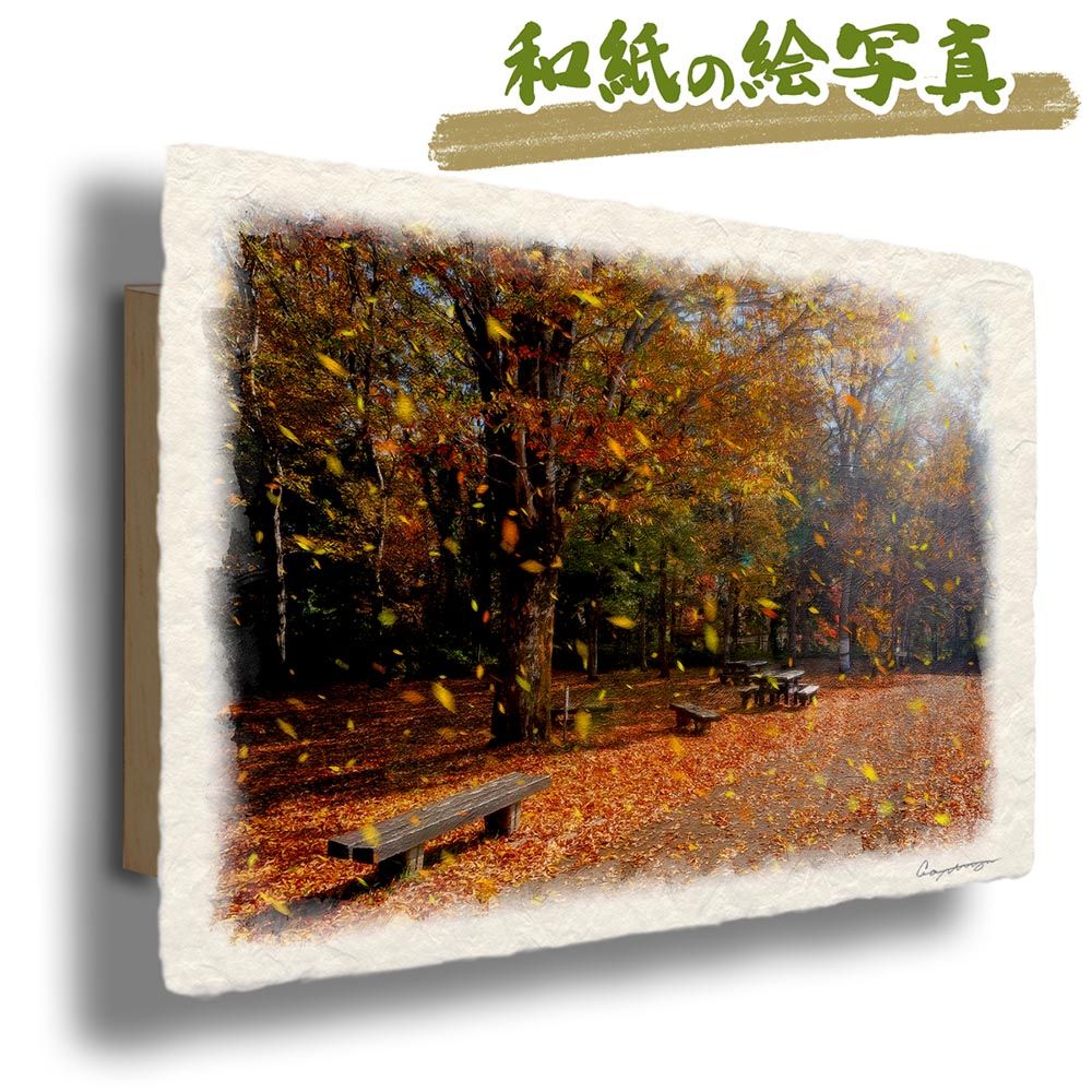 和紙の絵写真 「太陽と欅の落ち葉が舞う公園」 パネル付き 36x24cm 絵画 インテリア 玄関 風水 風景画 アート パネル ポスター おしゃれ 新築祝い 絵 壁掛け 和モダン 和風 ジャパンディ秋 赤 オレンジ 木 森 