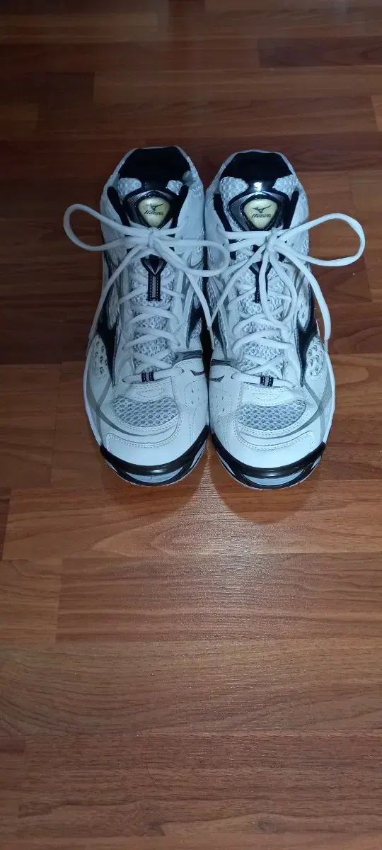Mizuno ミズノ 290 バレーボールシューズ 波 ジャンプ TR3