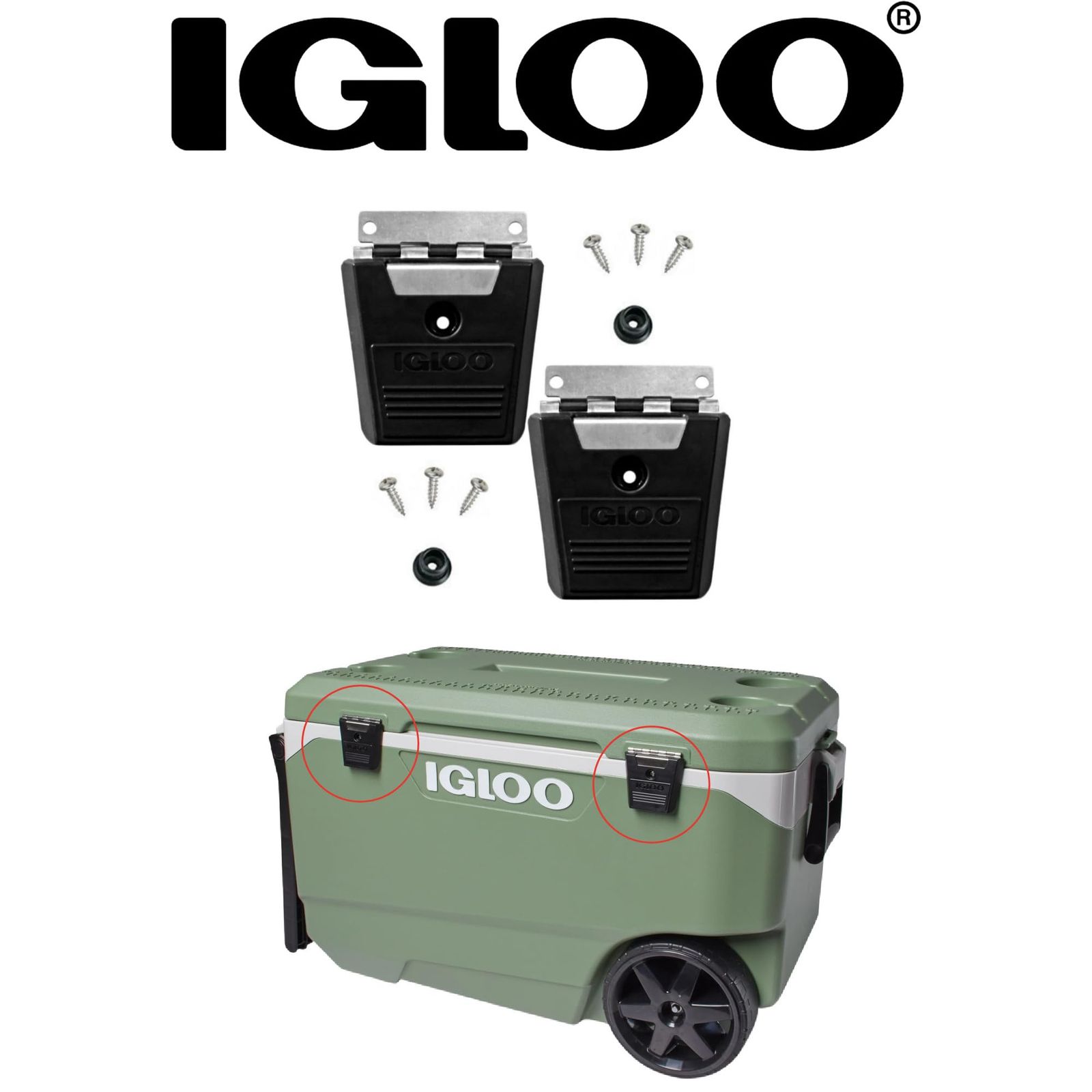 Igloo