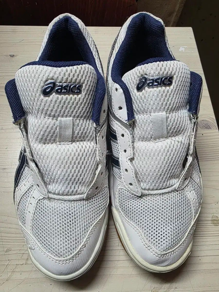 asics アシックス 宝くじ fl5 バレーボール バドミントン スポーツ大学入試 235mm