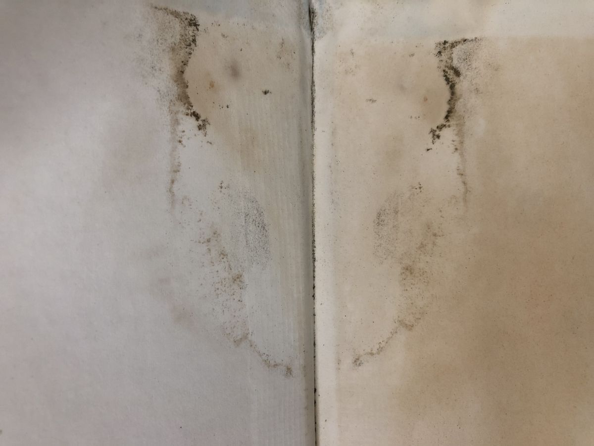 代数 実一変数関数