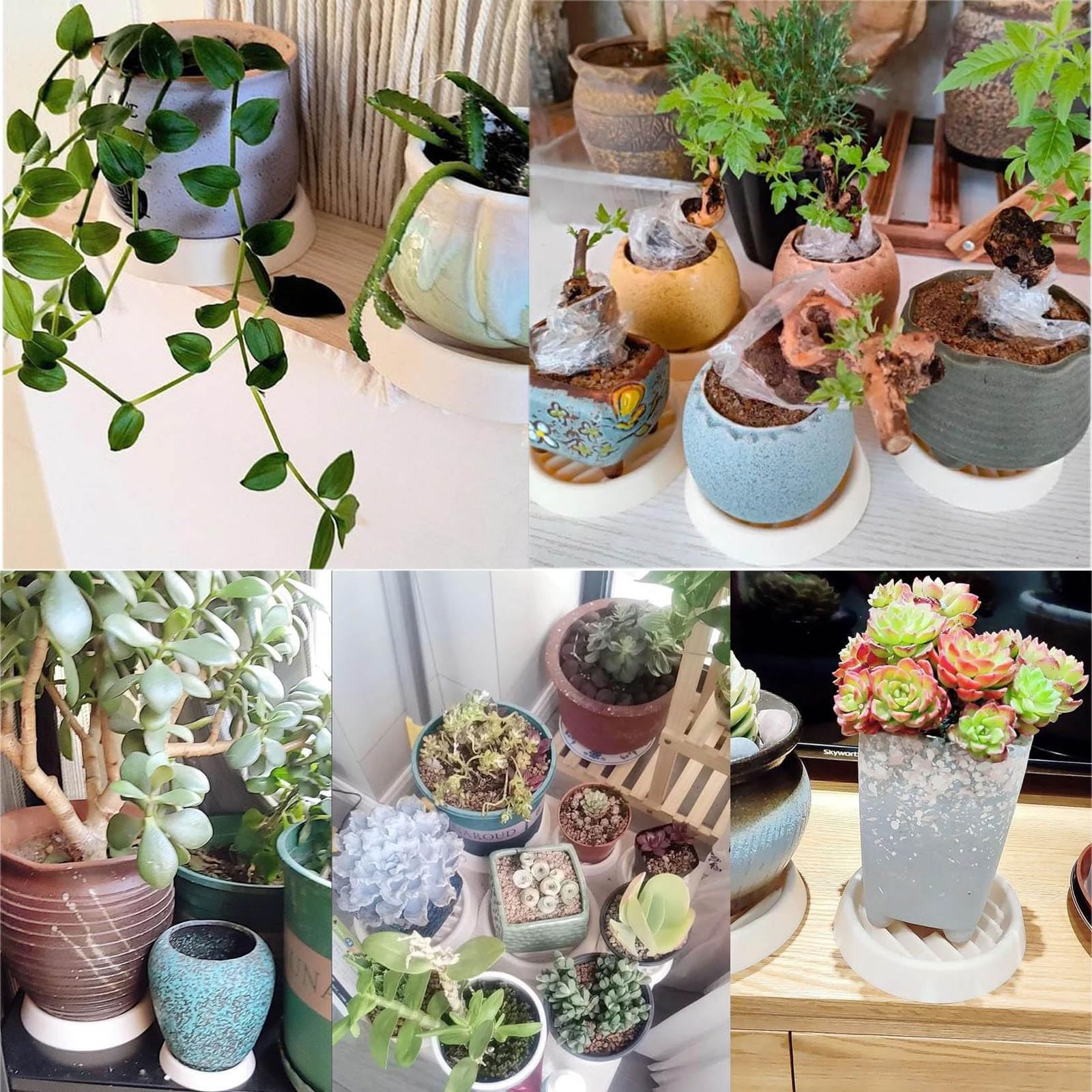 プラスガーデン 植木鉢・受皿セット トレーネロング Φ250ｍｍ 底穴あり チタンホワイト 信焼 535-11 プラスガーデン 植木鉢・受皿セット トレーネロング Φ250ｍｍ 底穴あり