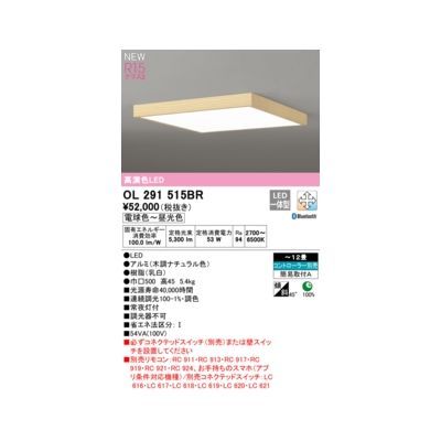 【新品・7営業日以内発送】オーデリック ODELIC OL291515BR LEDシーリング【沖縄離島販売不可】
