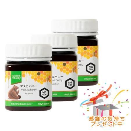 Tree of life 生活の木 マヌカハニー MG40+ 250g 3個セット