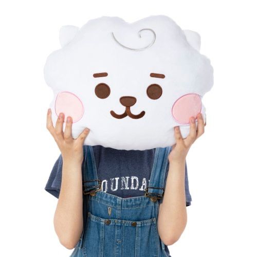 BT21 たっとん フェイスクッション ぬいぐるみ RJ 2点まとめ売り